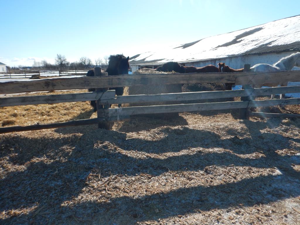 Агропромышленное предприятие «Кировское» из Липецкой области привлечено к административной ответственности 